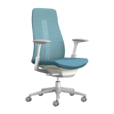 Ergonomic office chairs