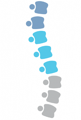 Human spine diagram showing correct ergonomic posture