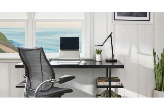 Humanscale Liberty Mesh Back Chair