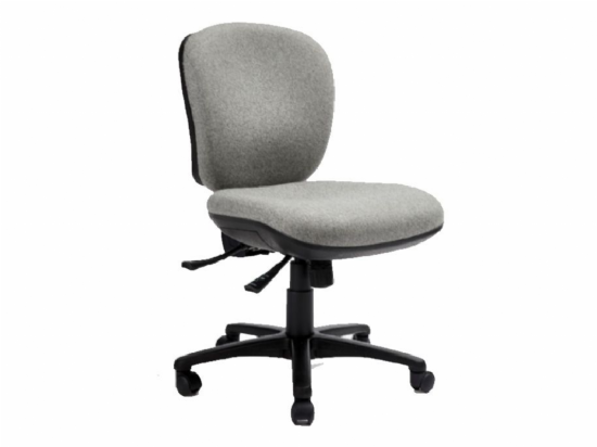Enterprise Medium Back  Deluxe Task Chair