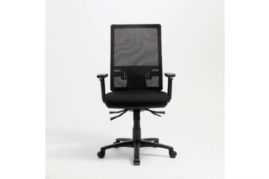 Leo High Back Mesh Task Chair