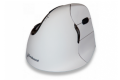 Evoluent Vertical Mouse 4  thumbnail