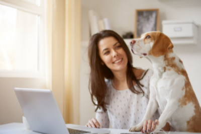 How to Make a Good Home Office a GREAT Home Office