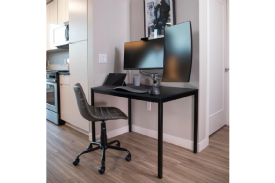 Ergotron LX Desk Mount LCD Monitor Arm 